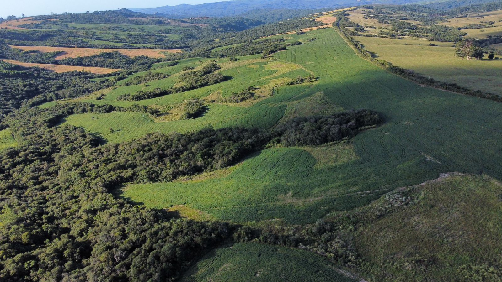 Imagem do WhatsApp de 2025-03-24 à(s) 19.20.47_971a444f Fazenda em Pantano Grande