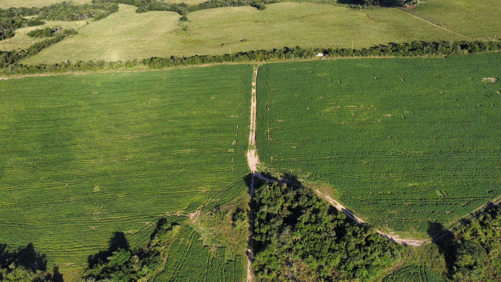 Imagem do WhatsApp de 2025-03-24 à(s) 19.20.47_f3c17613 Fazenda em Pantano Grande