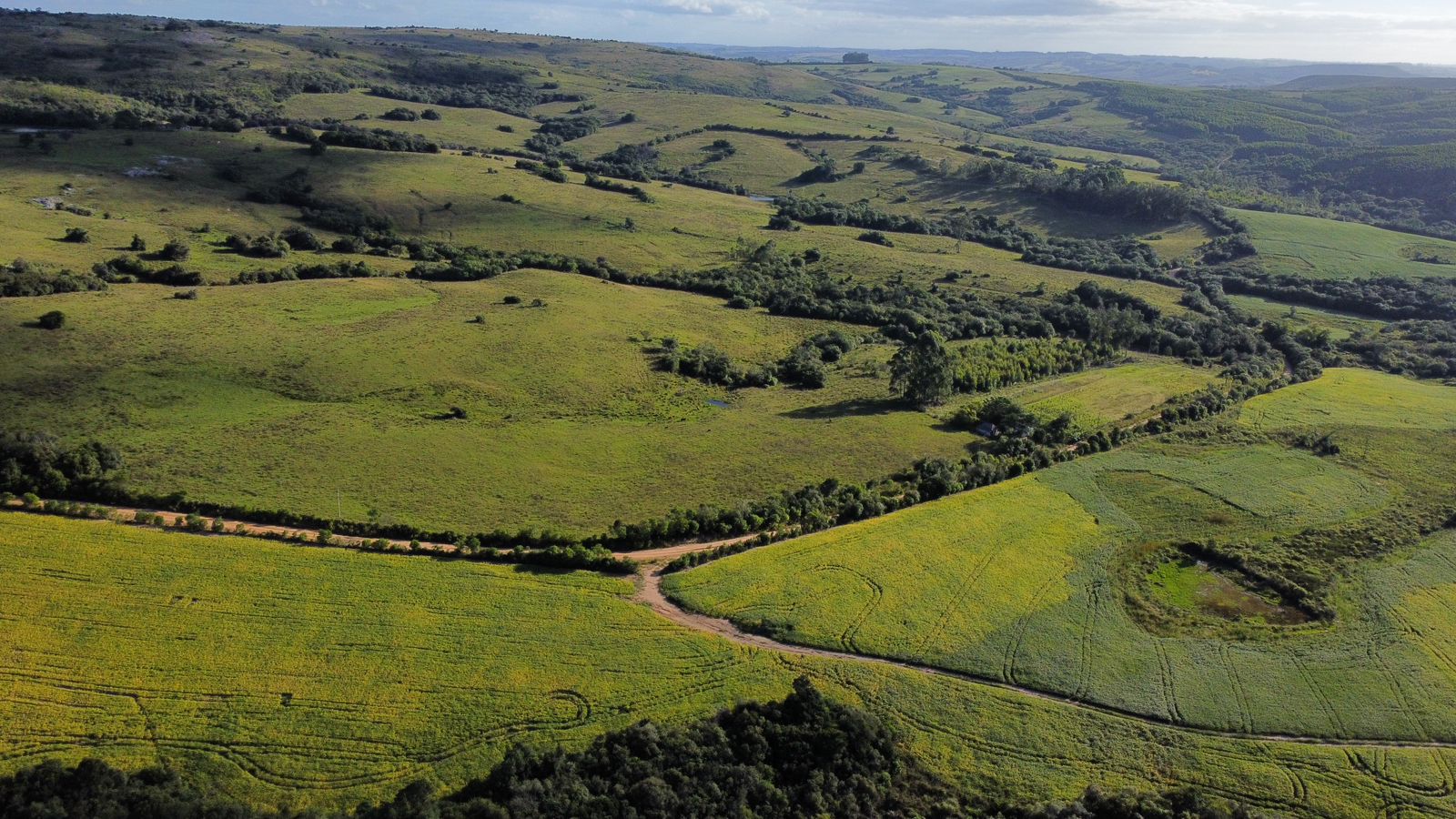 Imagem do WhatsApp de 2025-03-24 à(s) 19.20.48_32e6b8a4 Fazenda em Pantano Grande