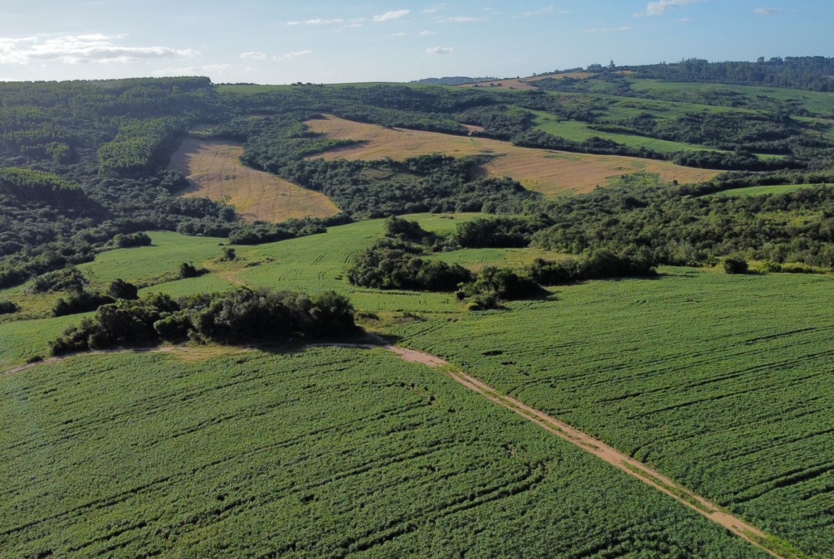 Fazenda em Pantano Grande