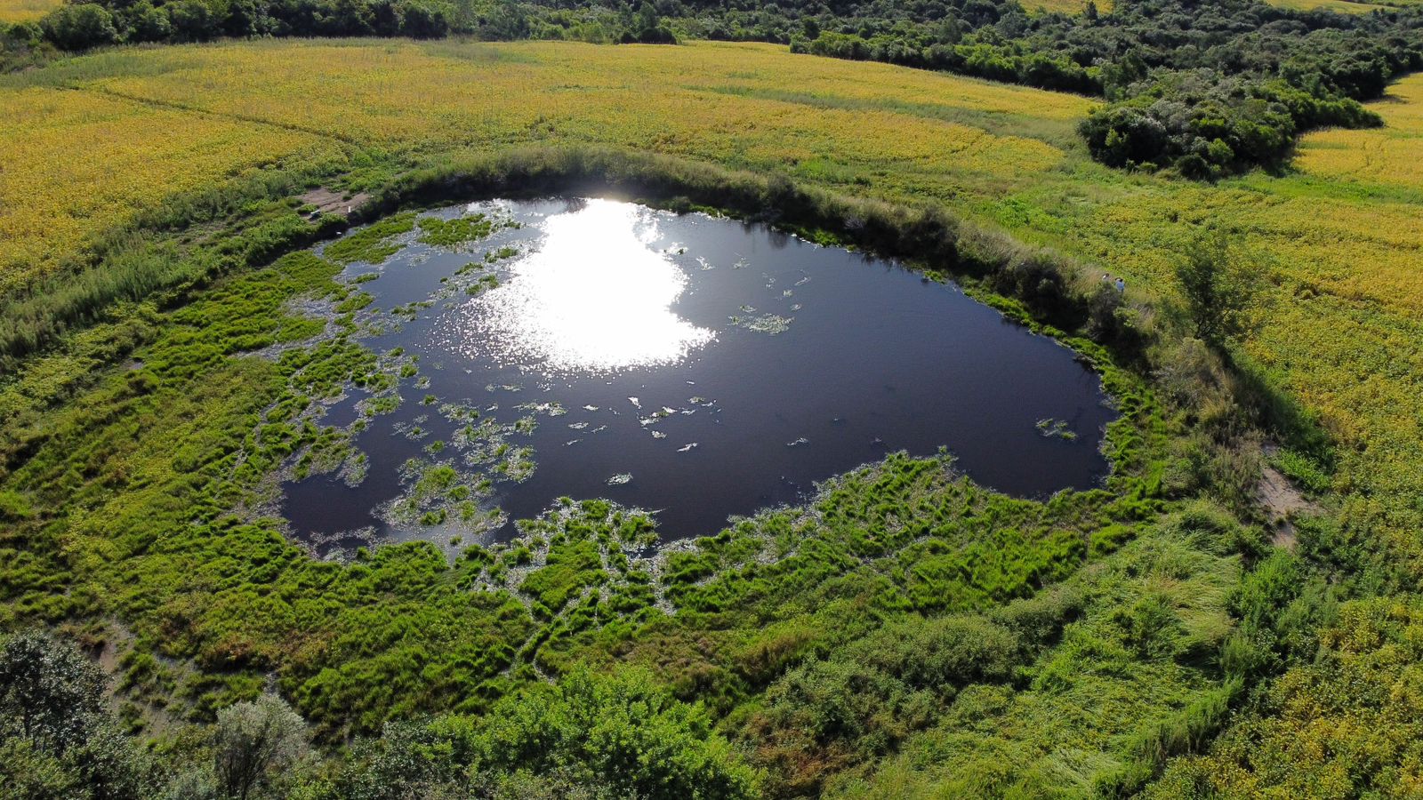 Imagem do WhatsApp de 2025-03-24 à(s) 19.20.49_de2d7430 Fazenda em Pantano Grande