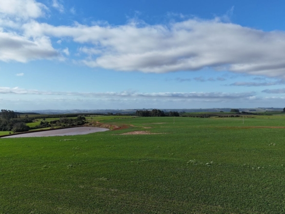 Fazenda à venda em Vila Nova do Sul