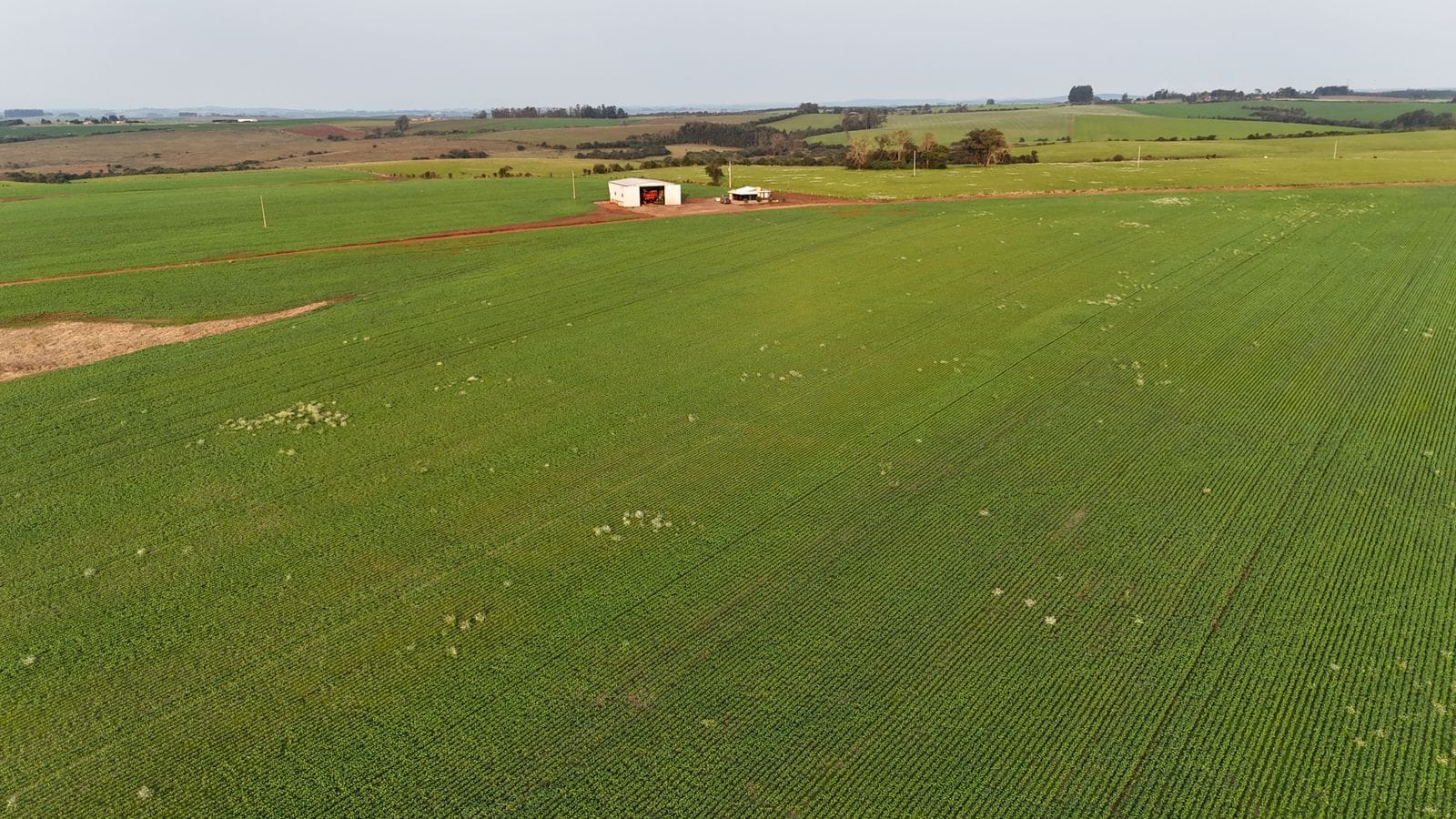 Fazenda à venda em Vila Nova do Sul