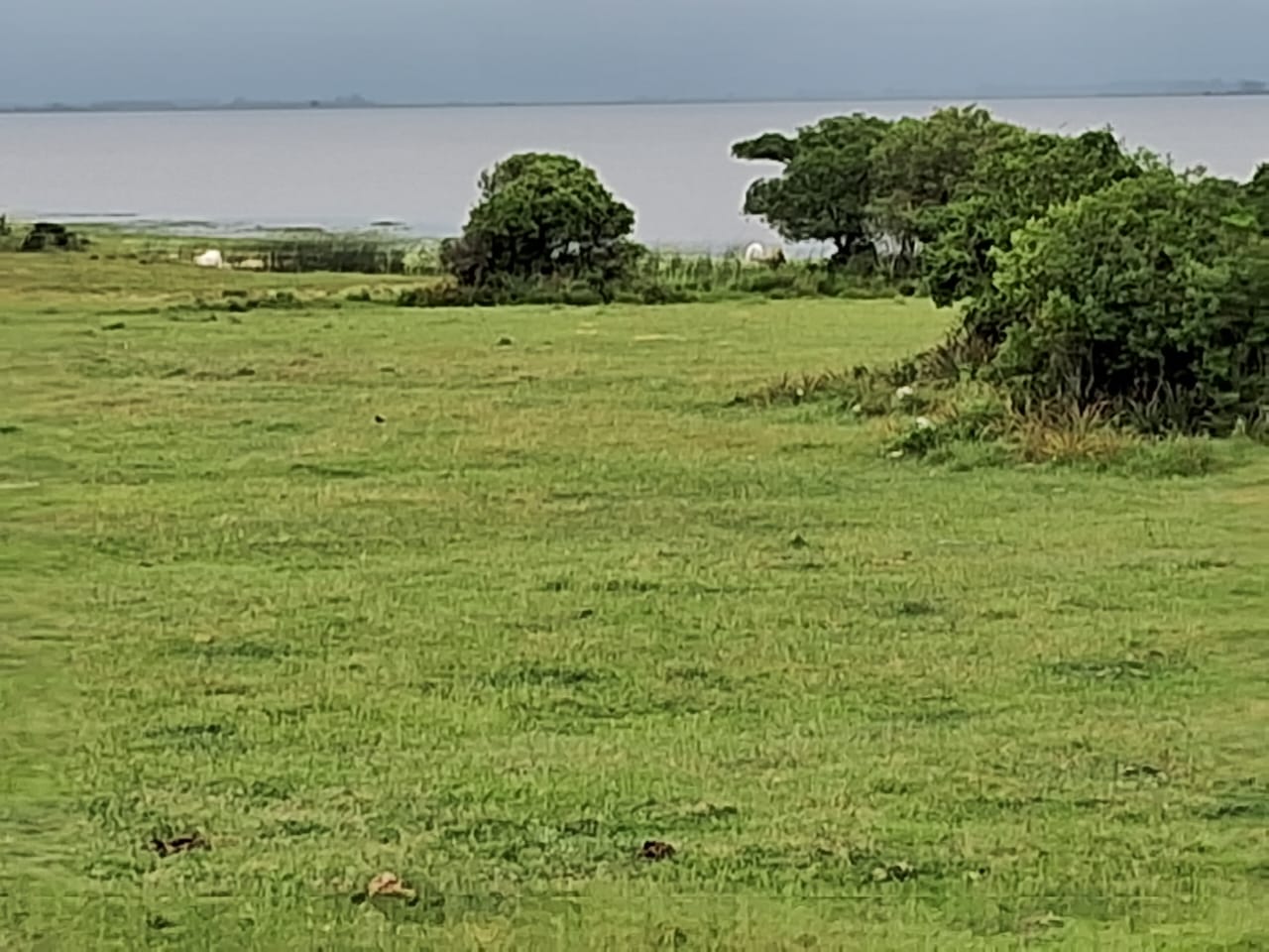 Fazenda em Rio Grande – RS