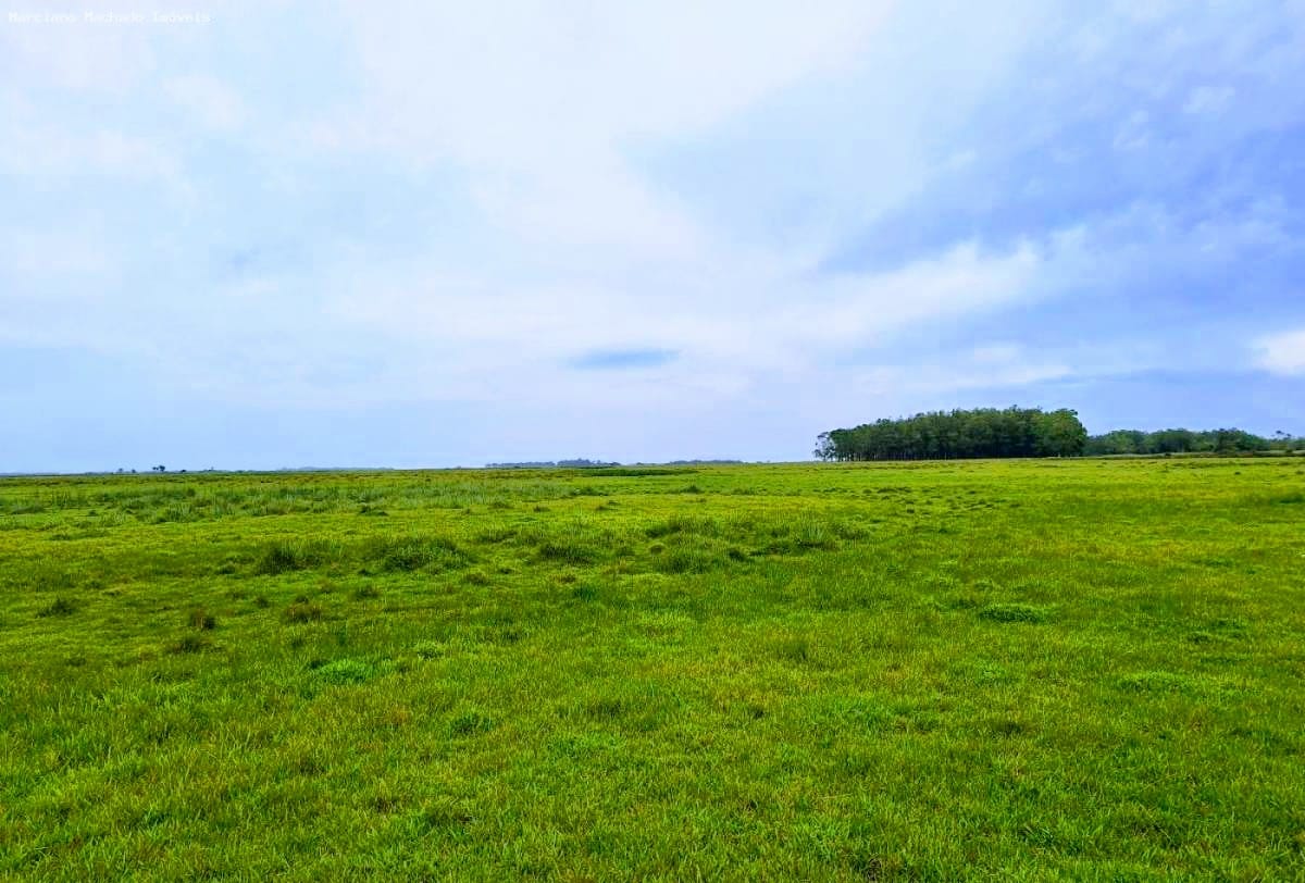Fazenda em Rio Grande – RS