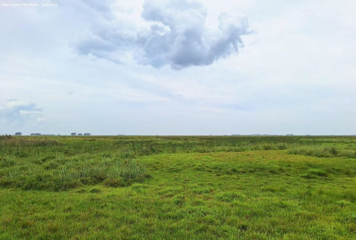 Fazenda em Rio Grande – RS