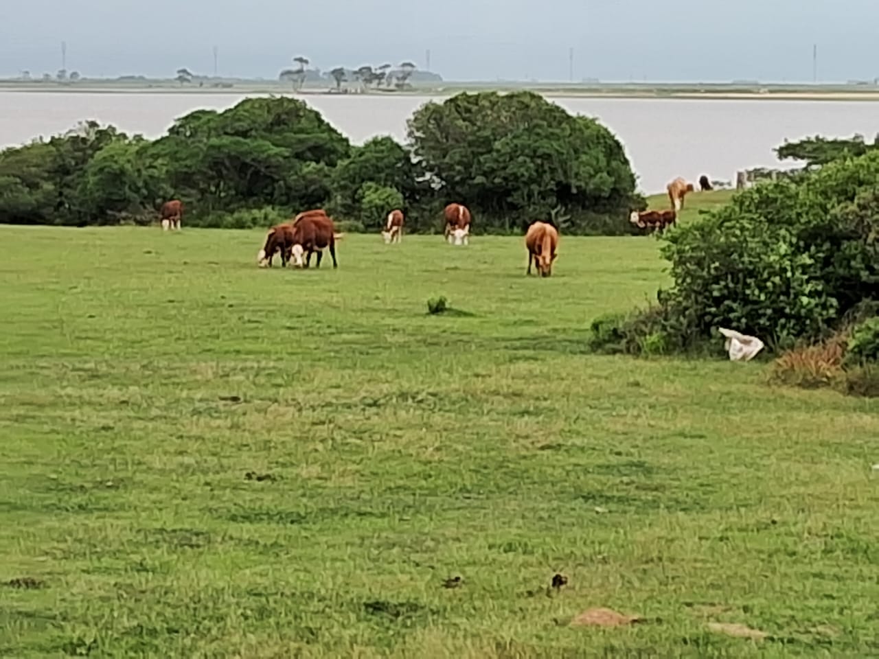 Fazenda em Rio Grande – RS