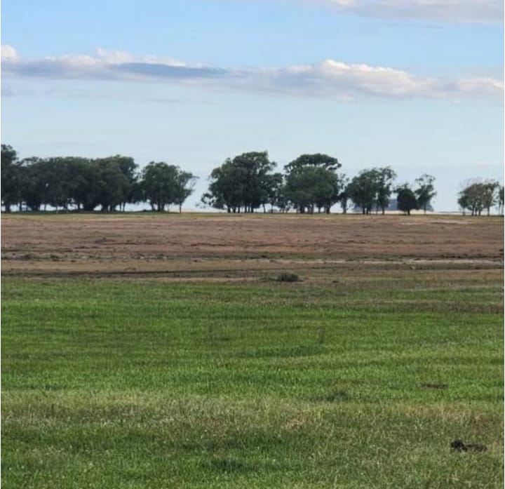 Fazenda em Rio Grande – RS