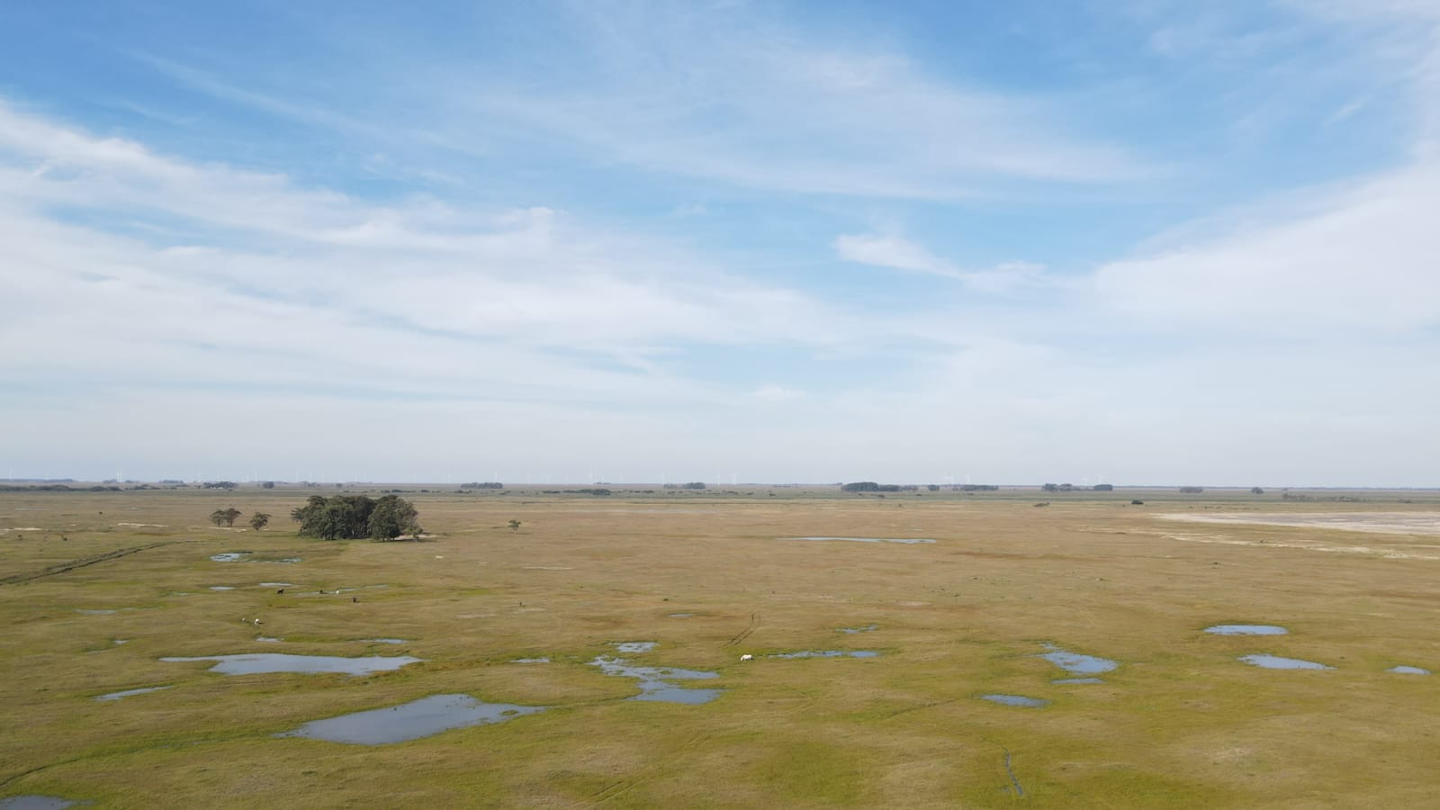 Fazenda em Rio Grande – RS