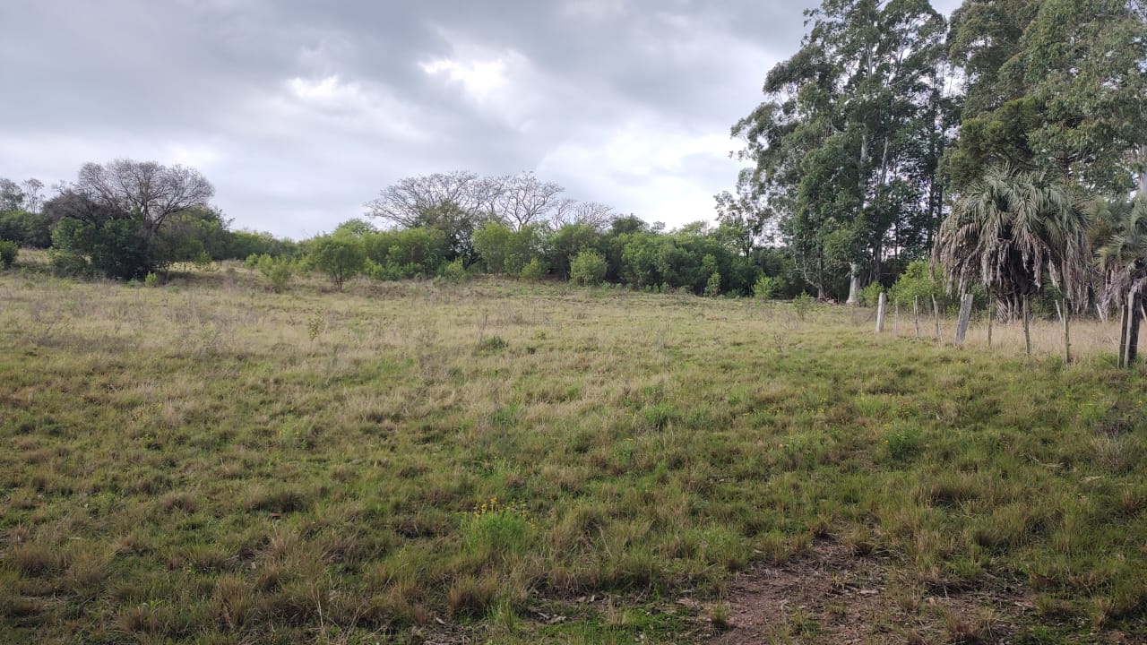 Chácara à venda