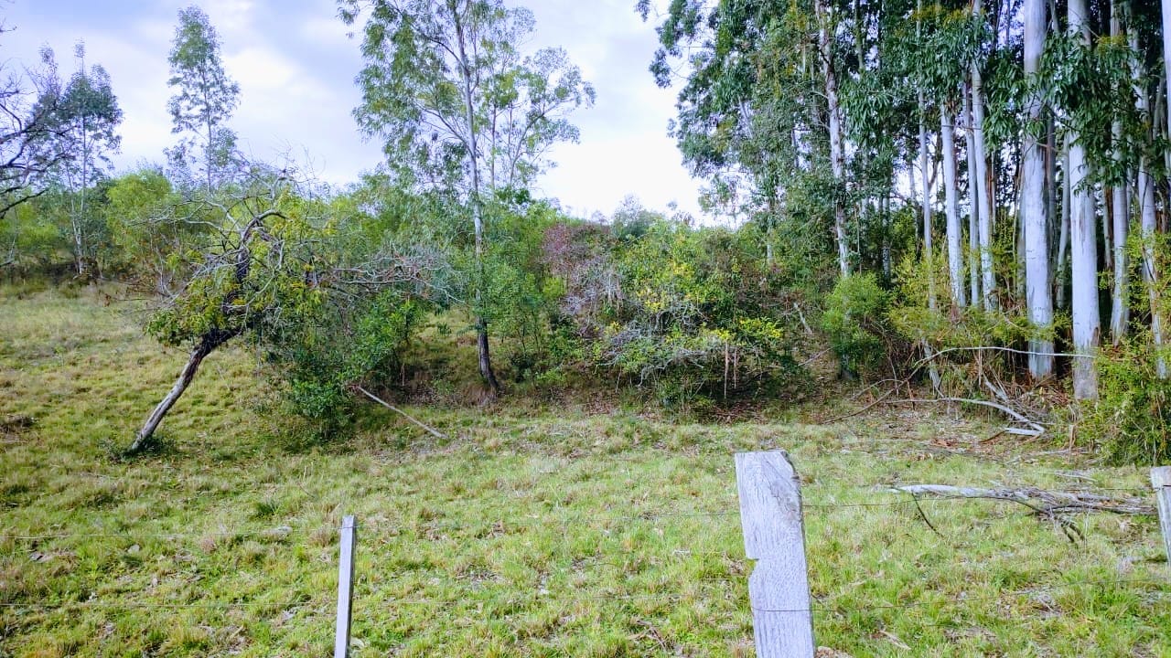 Chácara à venda