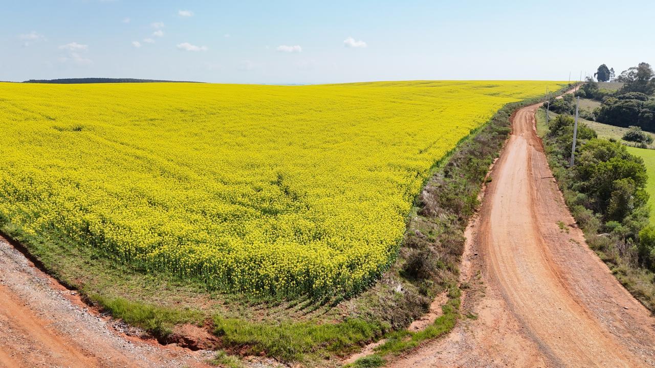 Fazenda à venda em Vila Nova do Sul