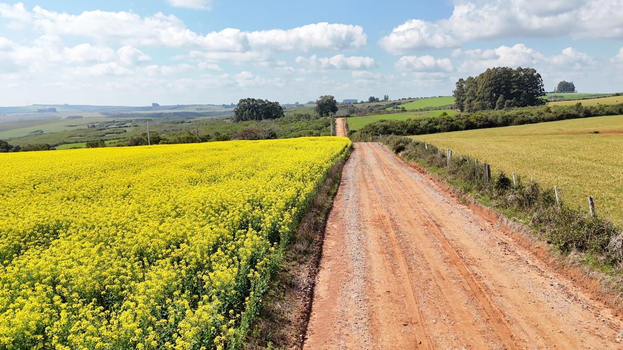 Fazenda à venda em Vila Nova do Sul