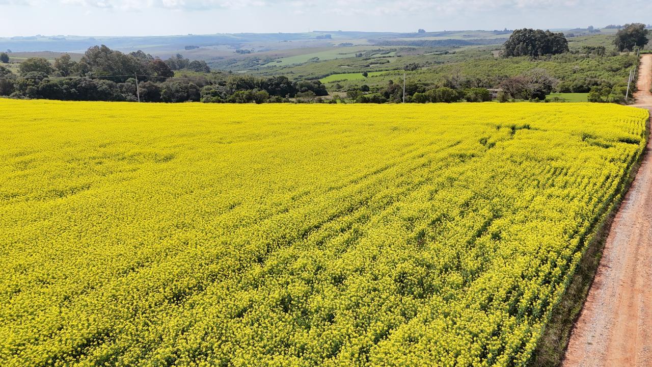Fazenda à venda em Vila Nova do Sul