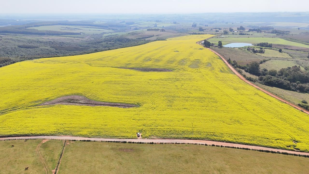 Fazenda à venda em Vila Nova do Sul
