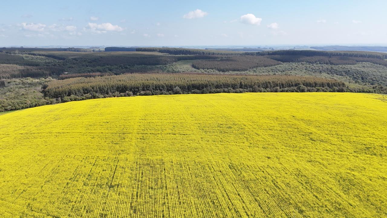 Fazenda à venda em Vila Nova do Sul