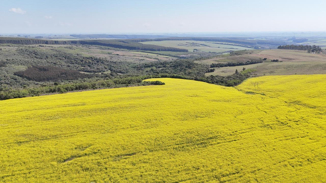 Fazenda à venda em Vila Nova do Sul