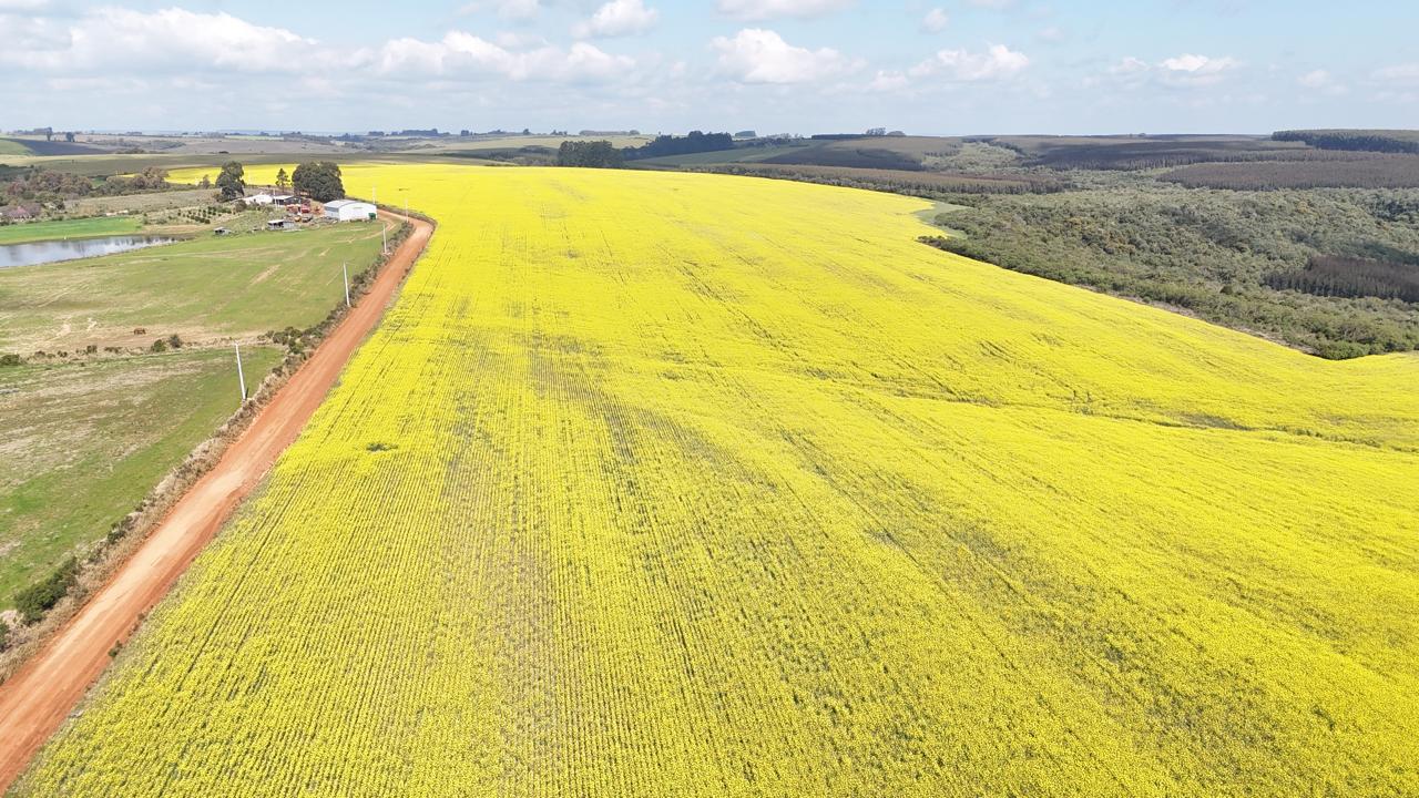 Fazenda à venda em Vila Nova do Sul