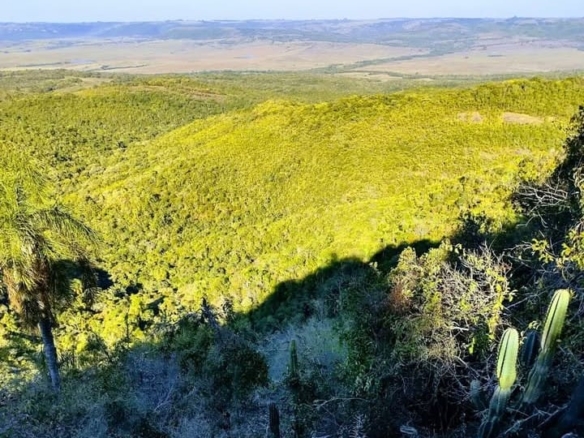 Área para reserva legal à venda (ARL)
