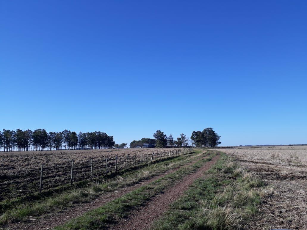 Fazenda à venda em Barra do Quaraí