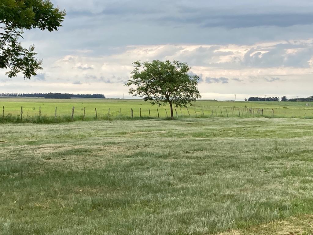 Fazenda à venda em Barra do Quaraí