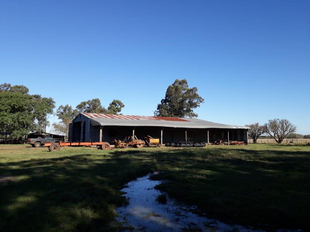 Fazenda à venda em Barra do Quaraí