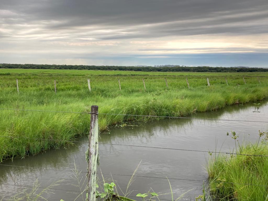 Fazenda à venda em Barra do Quaraí