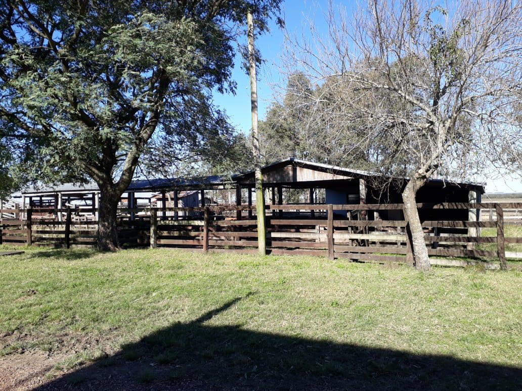 Fazenda à venda em Barra do Quaraí