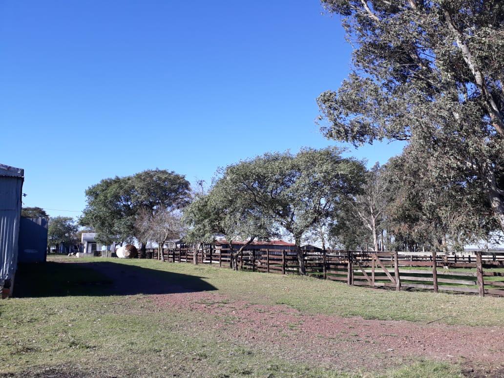 Fazenda à venda em Barra do Quaraí