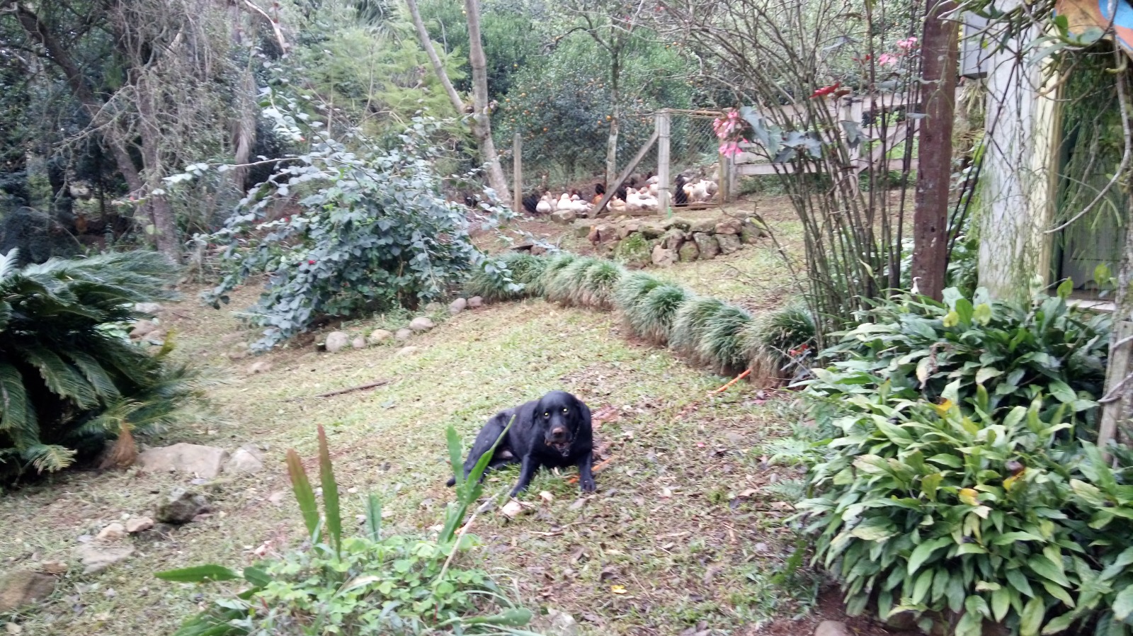 Sítio à venda em Westfália