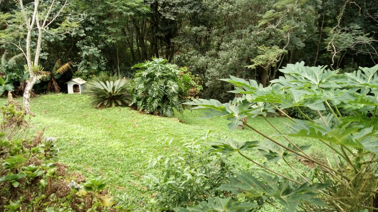 Sítio à venda em Westfália
