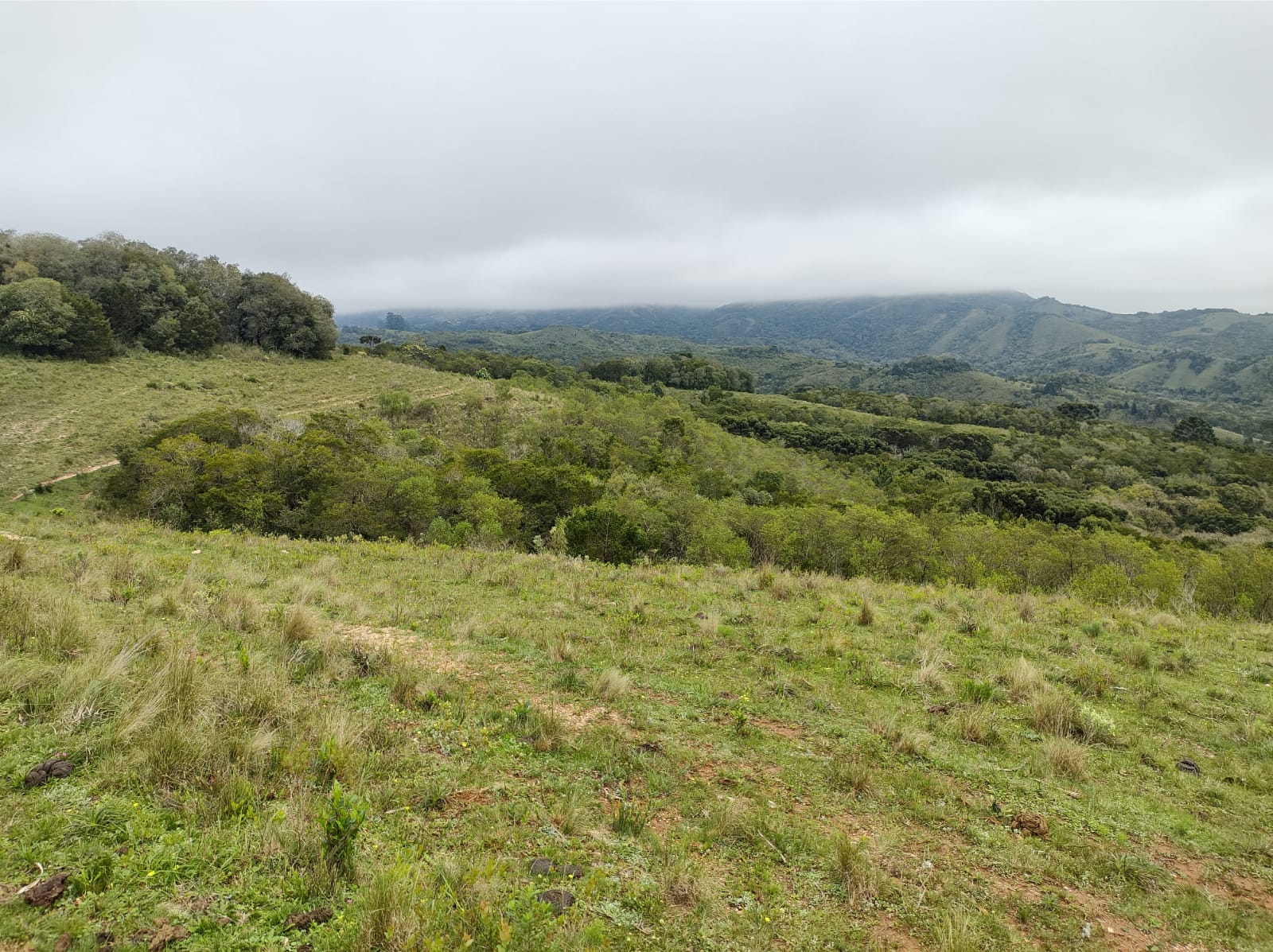 Fazenda à venda em Santana da Boa Vista