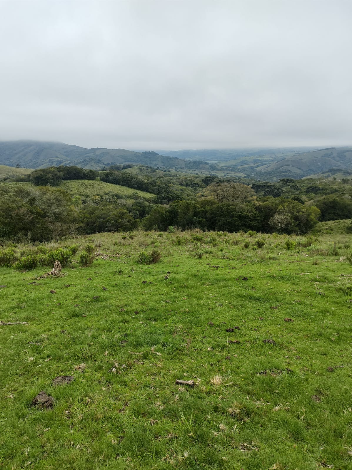 Fazenda à venda em Santana da Boa Vista