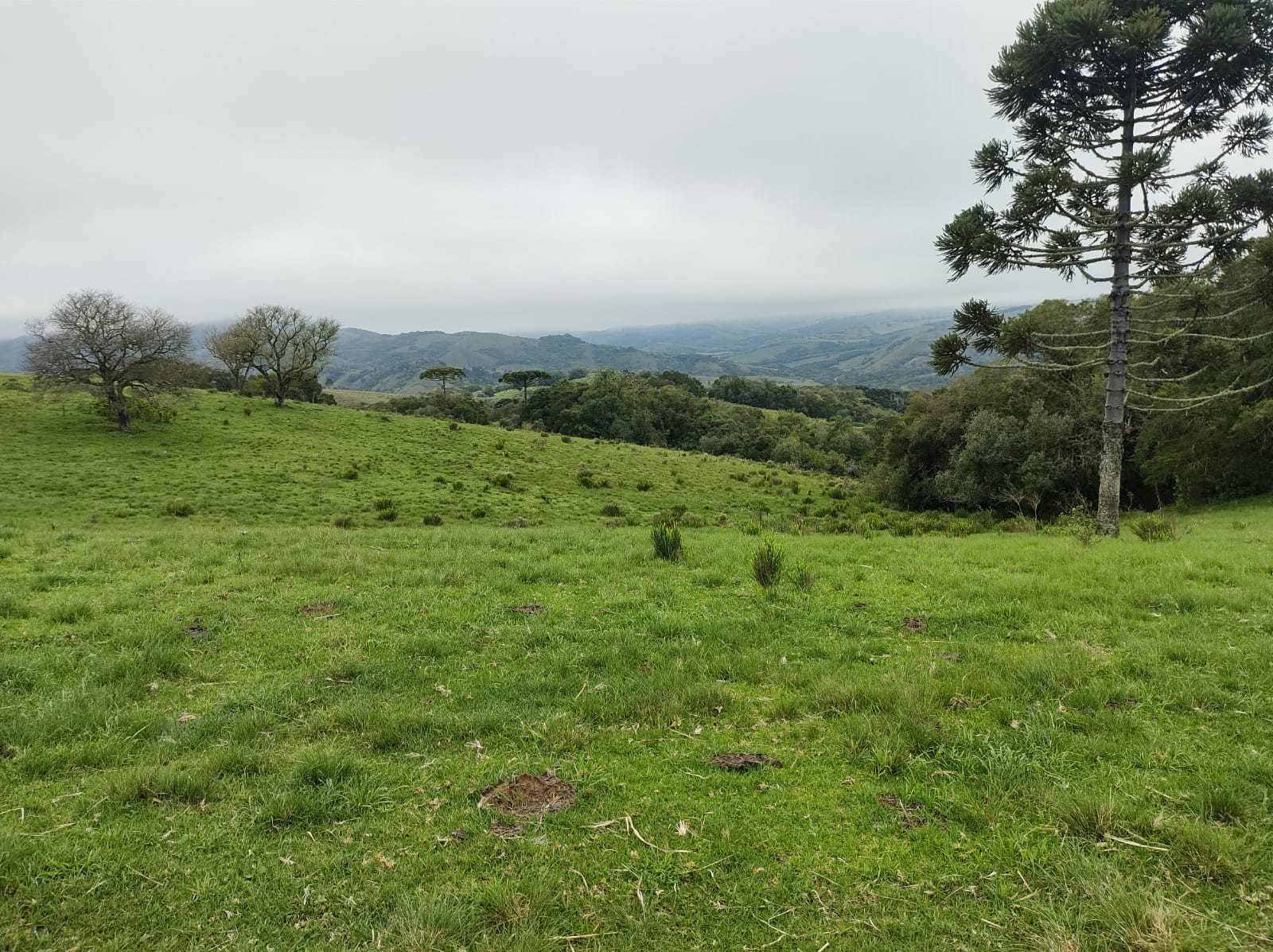 Fazenda à venda em Santana da Boa Vista