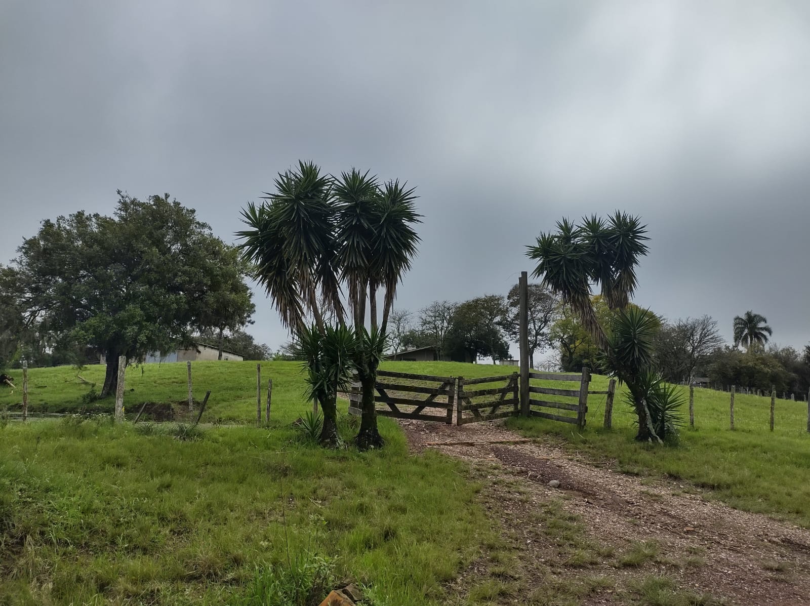 Fazenda à venda em Santana da Boa Vista