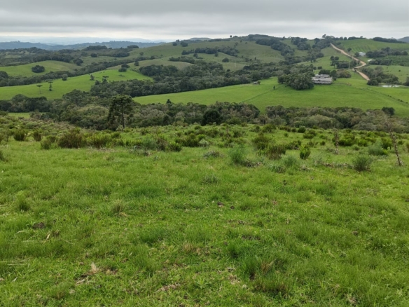 Fazenda à venda em Santana da Boa Vista