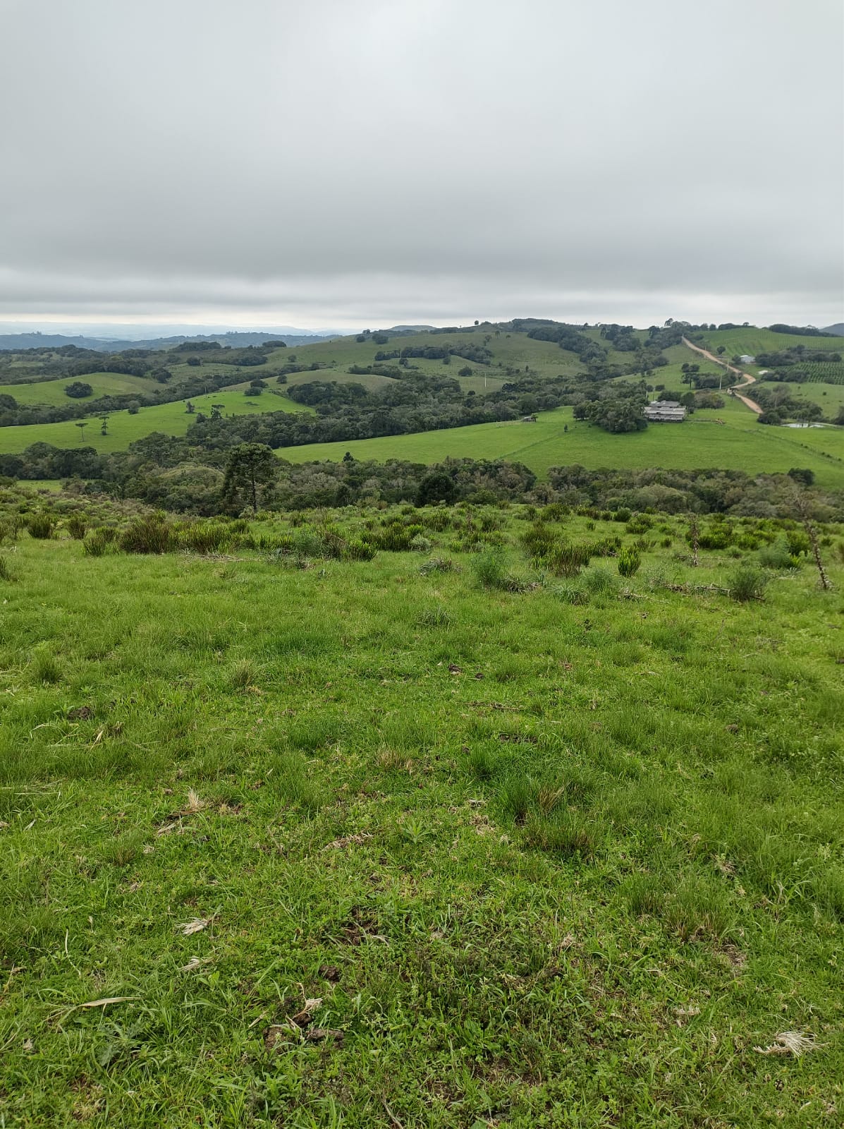 Fazenda à venda em Santana da Boa Vista