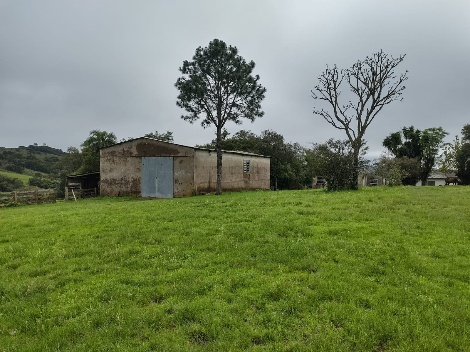 Fazenda à venda em Santana da Boa Vista