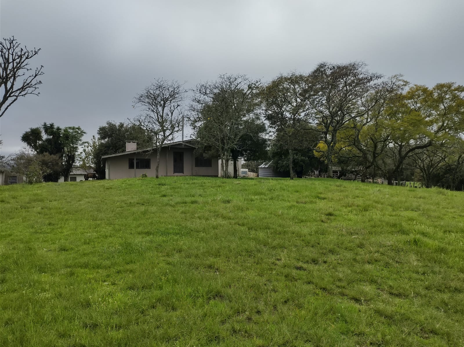 Fazenda à venda em Santana da Boa Vista