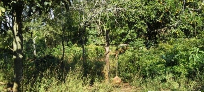 Sítio à venda em Westfália