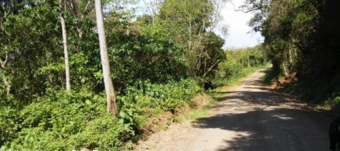 Sítio à venda em Westfália