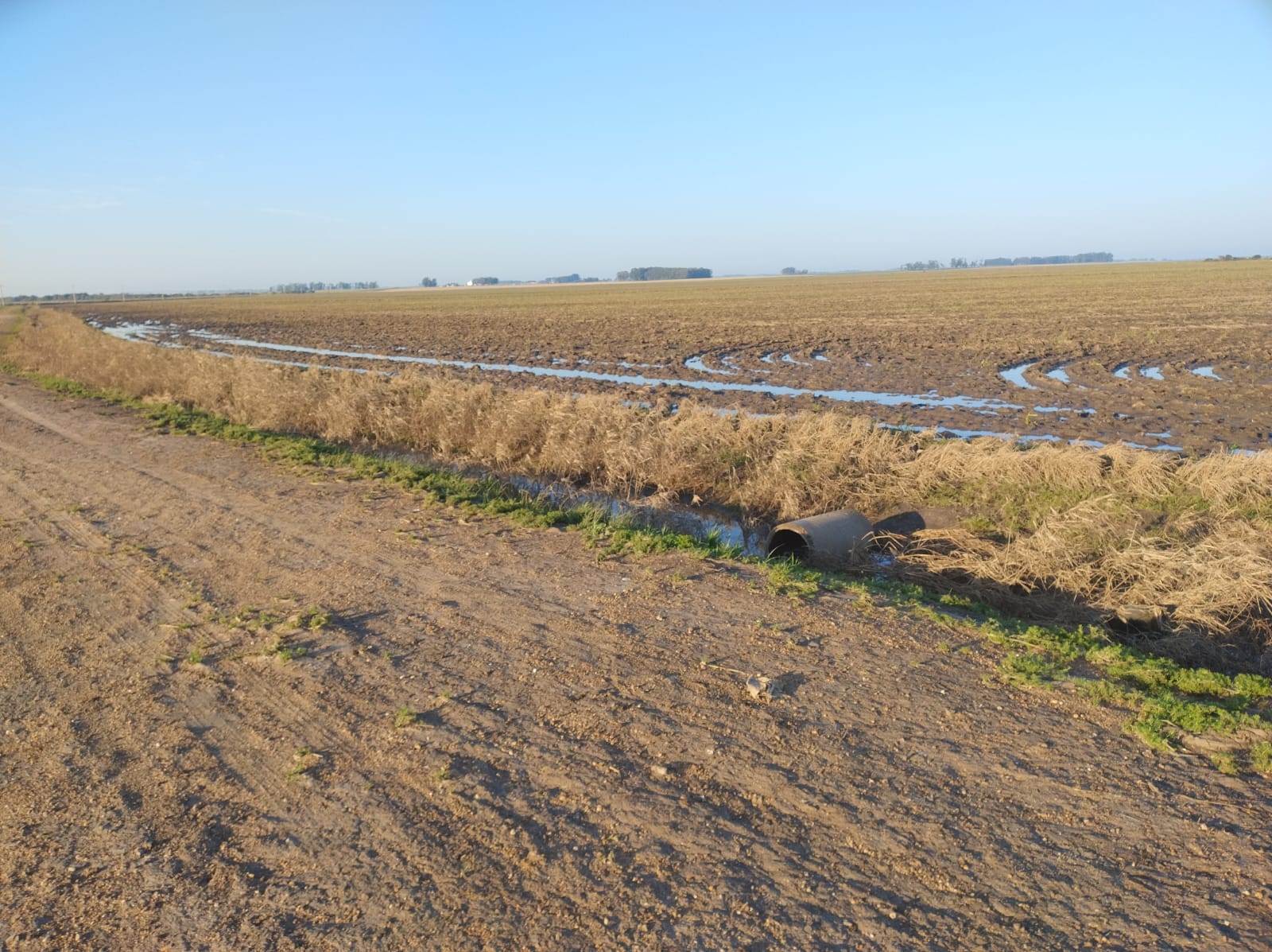 Imagem do WhatsApp de 2025-09-29 à(s) 10.15.00_206e01b5 Fazenda à venda em Santa Margarida do Sul