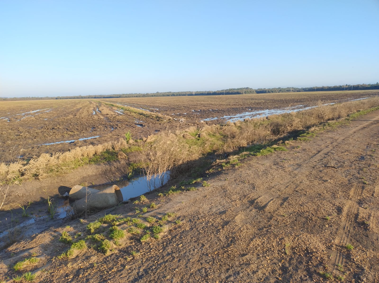 Imagem do WhatsApp de 2025-09-29 à(s) 10.15.00_baef1d24 Fazenda à venda em Santa Margarida do Sul