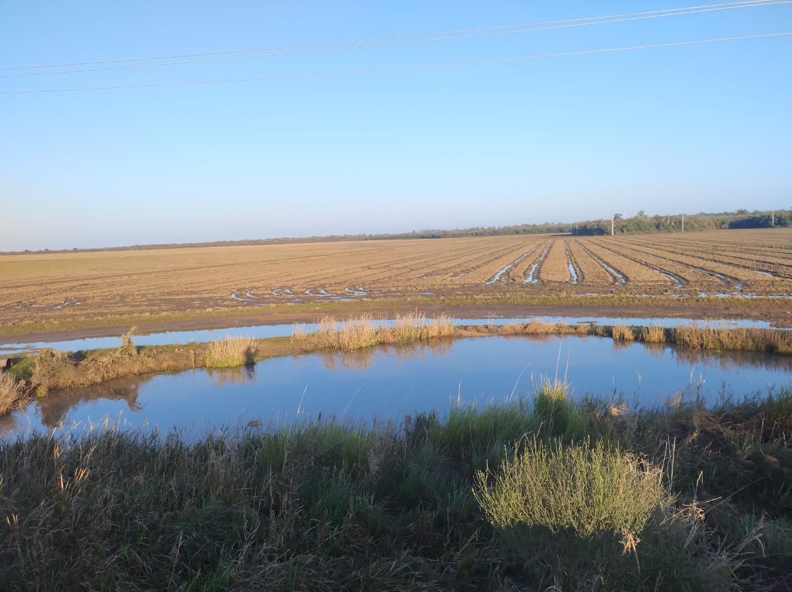 Imagem do WhatsApp de 2025-09-29 à(s) 10.15.03_8fef5944 Fazenda à venda em Santa Margarida do Sul