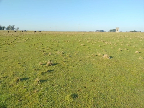 Fazenda à venda em Santa Margarida do Sul