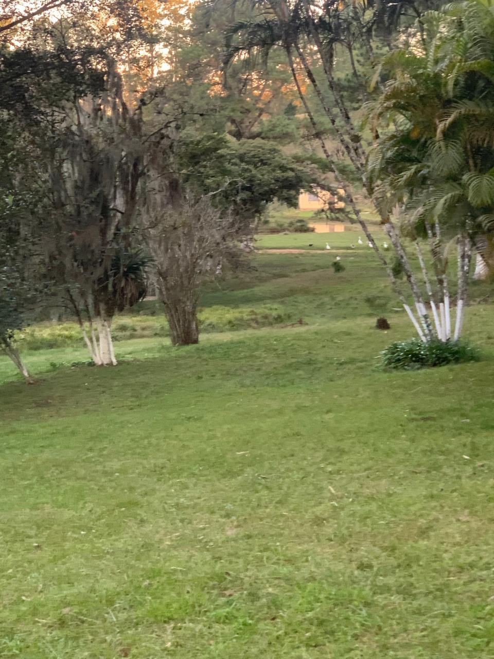 Sítio à venda em Viamão
