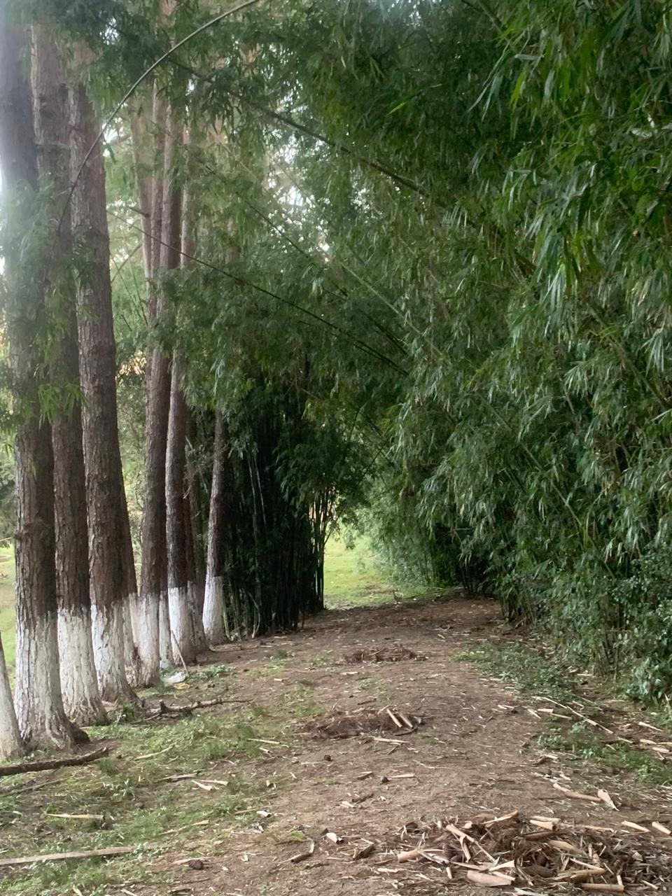 Sítio à venda em Viamão