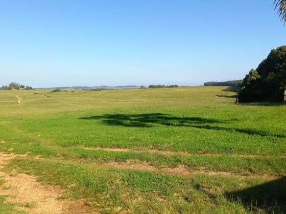 Fazenda à venda em Pedras Altas