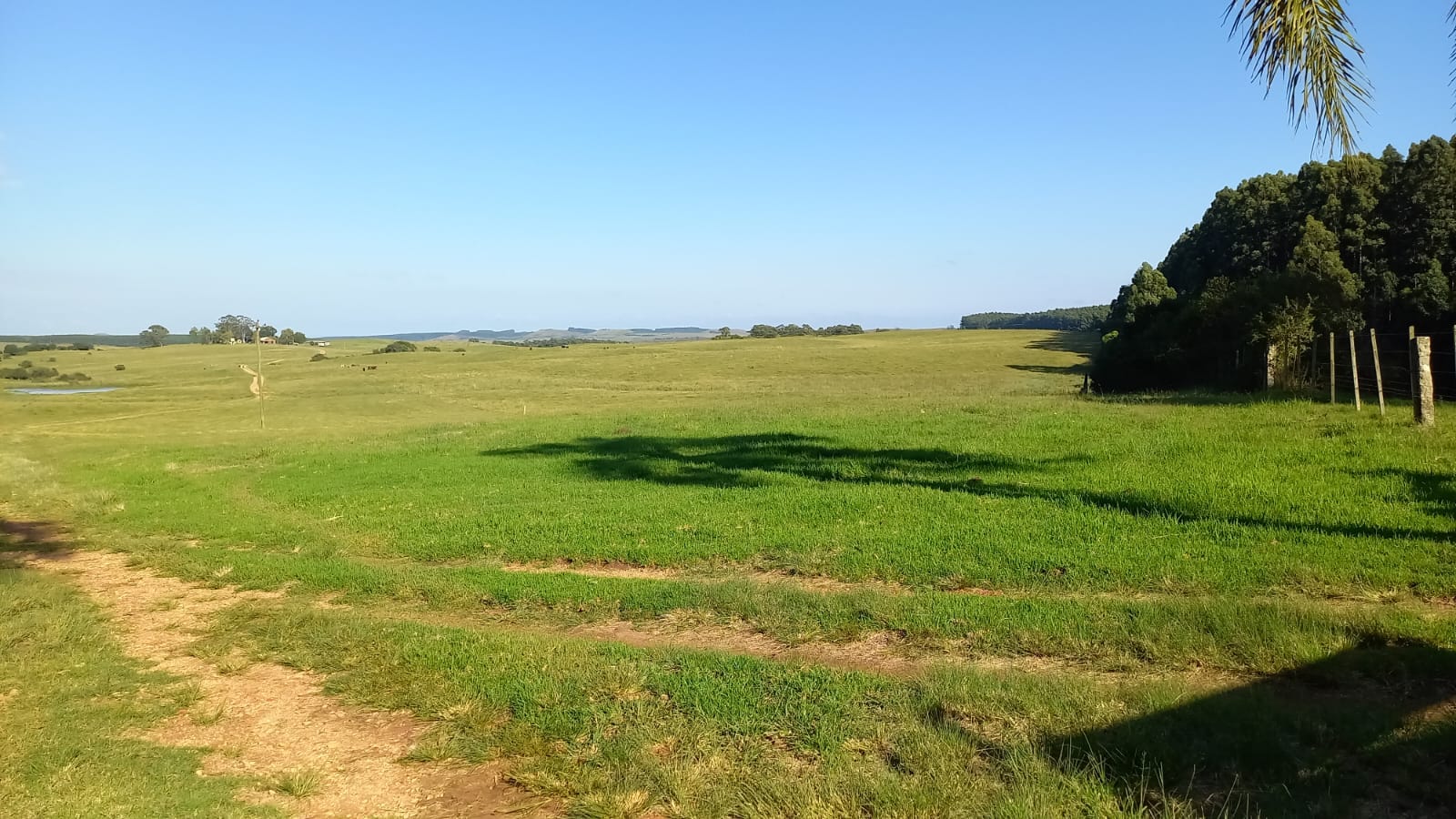 Fazenda à venda em Pedras Altas