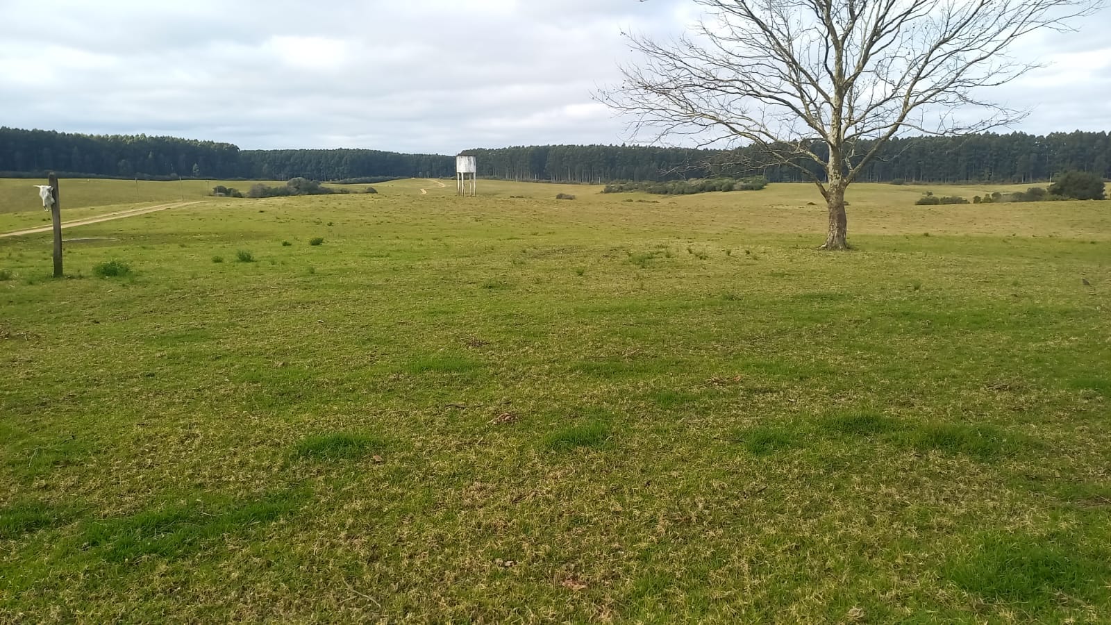 Fazenda à venda em Pedras Altas